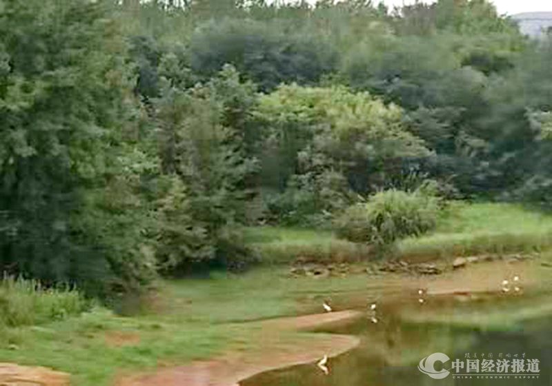 2湖南祁东县永顺建材有限公司：在环保中运行 在安全中发展.jpg