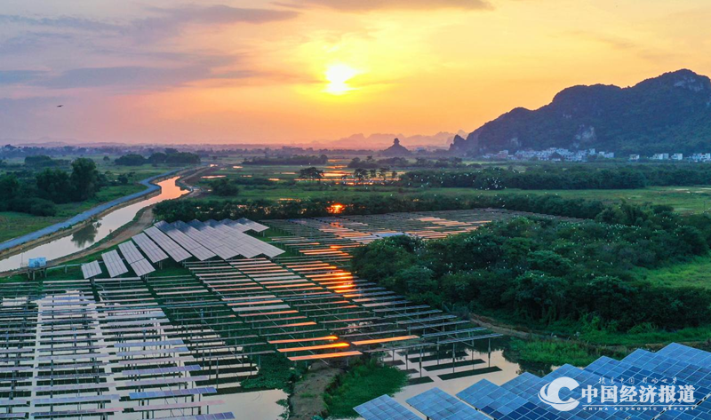 11白圩光伏产业园白鹭纷飞 李辉 摄_副本.png