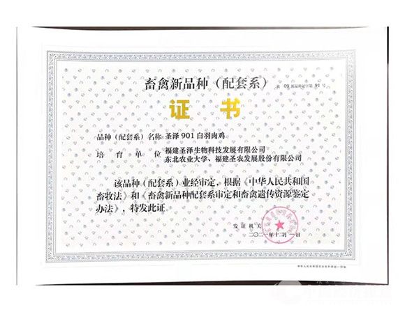 2021年12月1日 圣泽901白羽肉鸡通过农业农村部审定.jpg