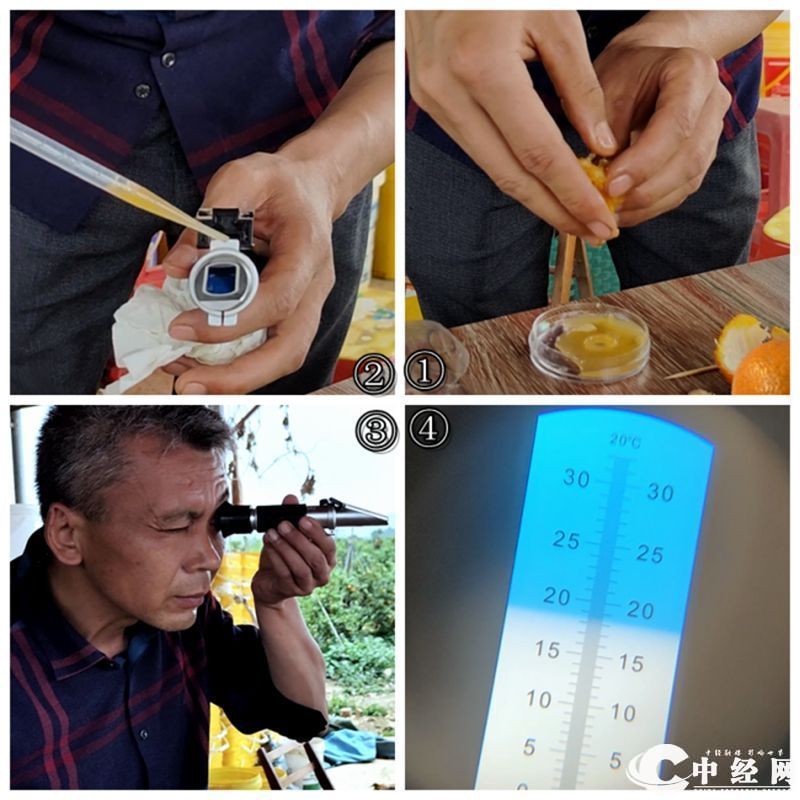 13“多美施”沃柑甜度测试18.3°.jpg