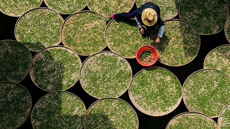 1712565214777736.jpg 2_副本.jpg