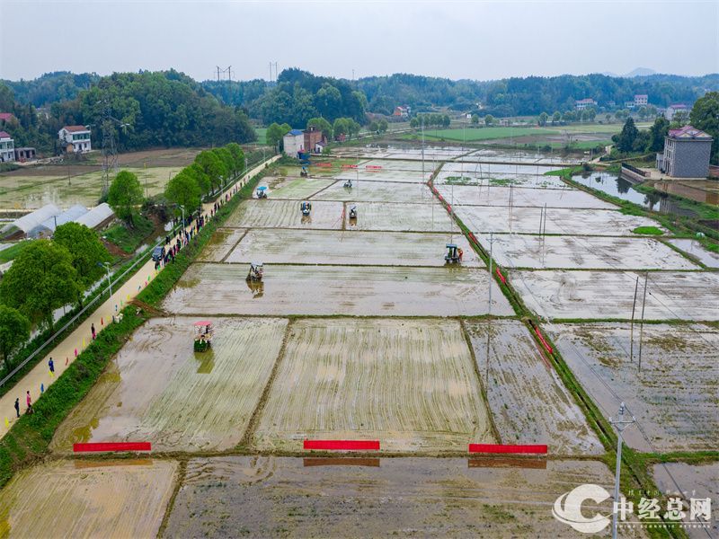 1712912658516662.jpg 7.jpg