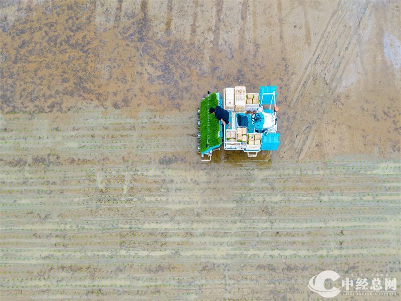 1712912670594441.jpg 8.jpg