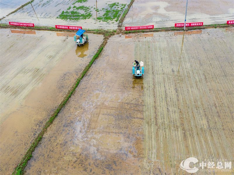 1712912680738225.jpg 9.jpg