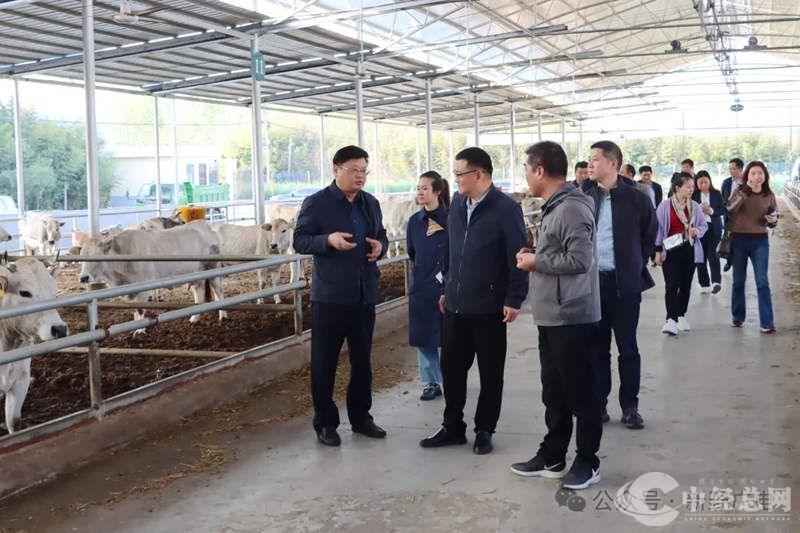 1713195233831249.jpg 1_副本.jpg