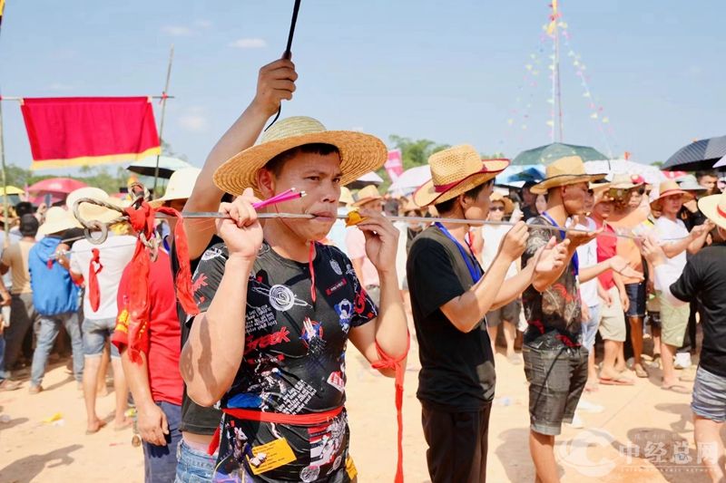 1714035002913464.jpg 微信图片_20240425163744_副本.jpg