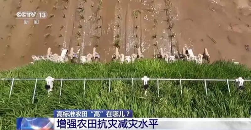 1714274473177972.jpg 1_副本.jpg