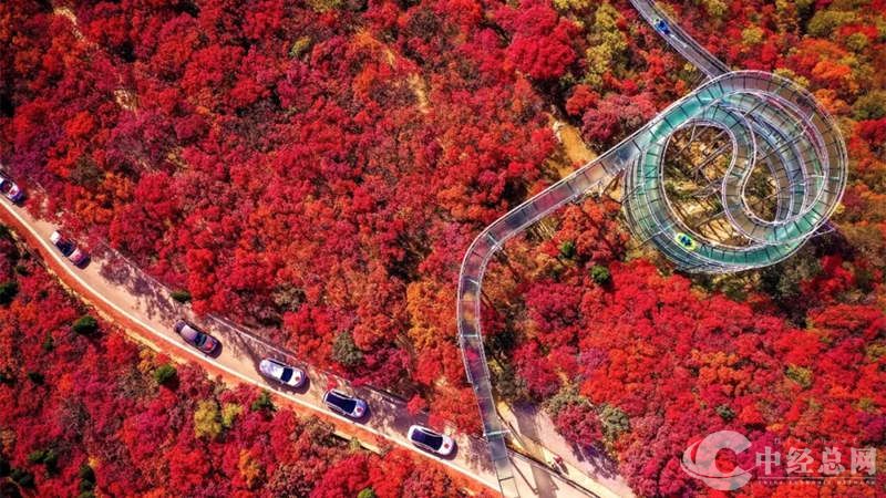 1714283915832631.jpg 1_副本.jpg