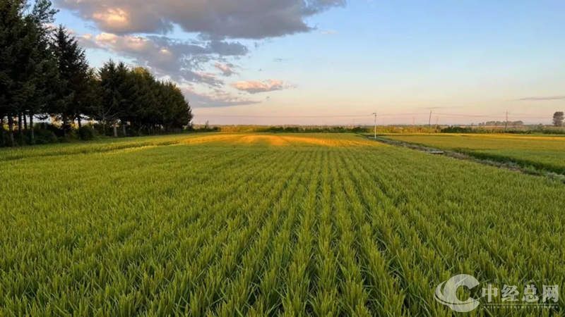 1714283965390361.jpg 3_副本.jpg