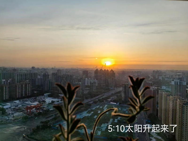 1715813823255009.jpg 6.jpg