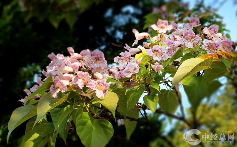 1716460863102313.jpg 125_副本.jpg