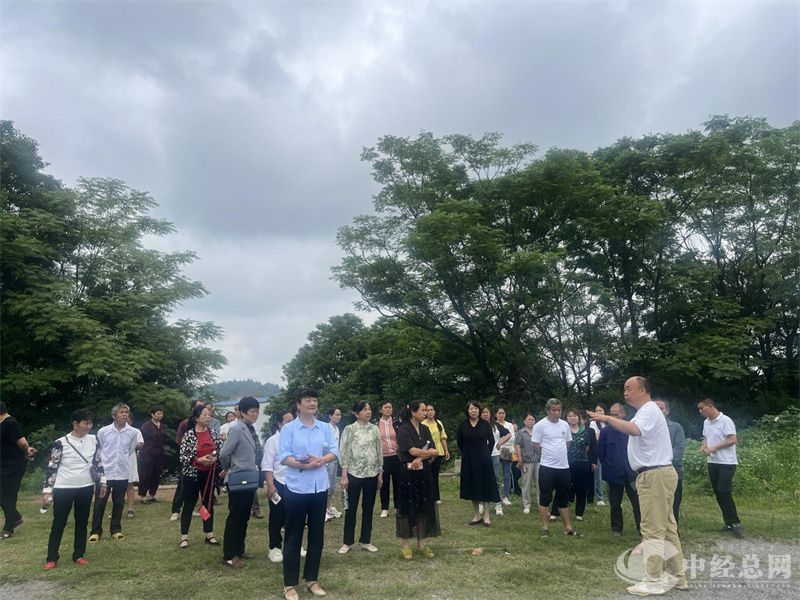 1716478598145353.jpg 图片6.jpg