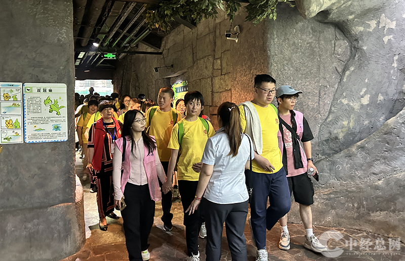 1716601283480595.png 图片5.png