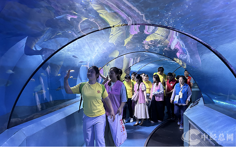 1716601292542045.png 图片6.png