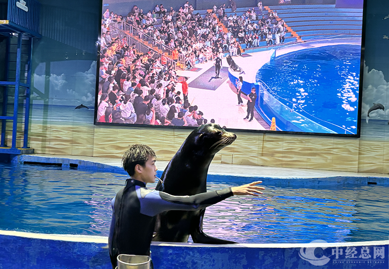 1716601371438095.png 图片8.png