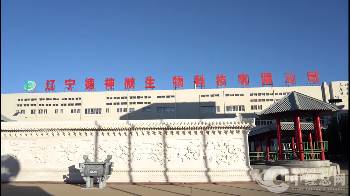 1717849910116402.png 5.png