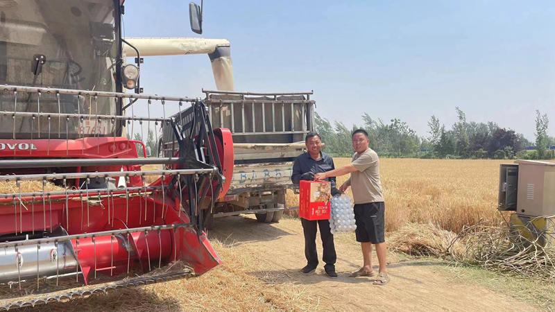 1719543895215962.jpg 6.jpg