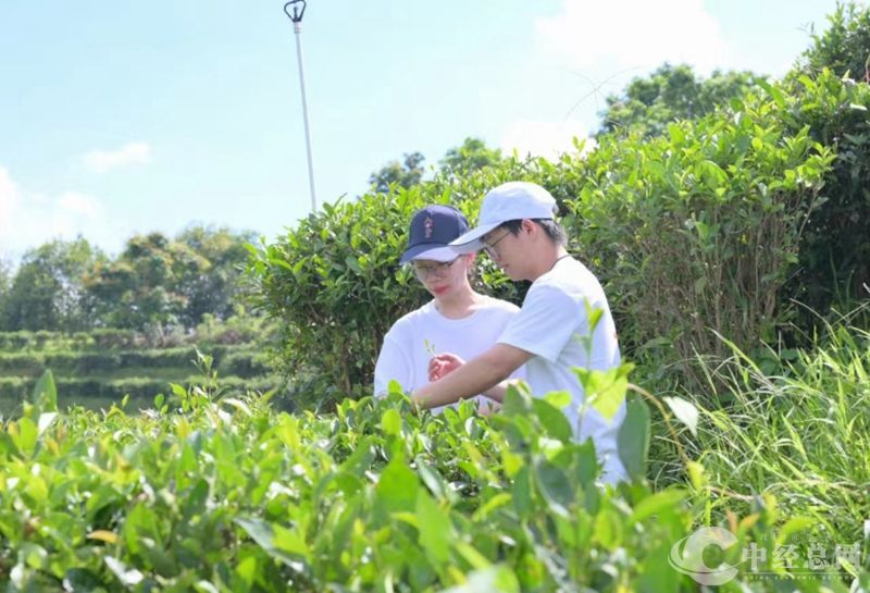 1720787046565452.jpg 微信图片_20240712200659_副本.jpg