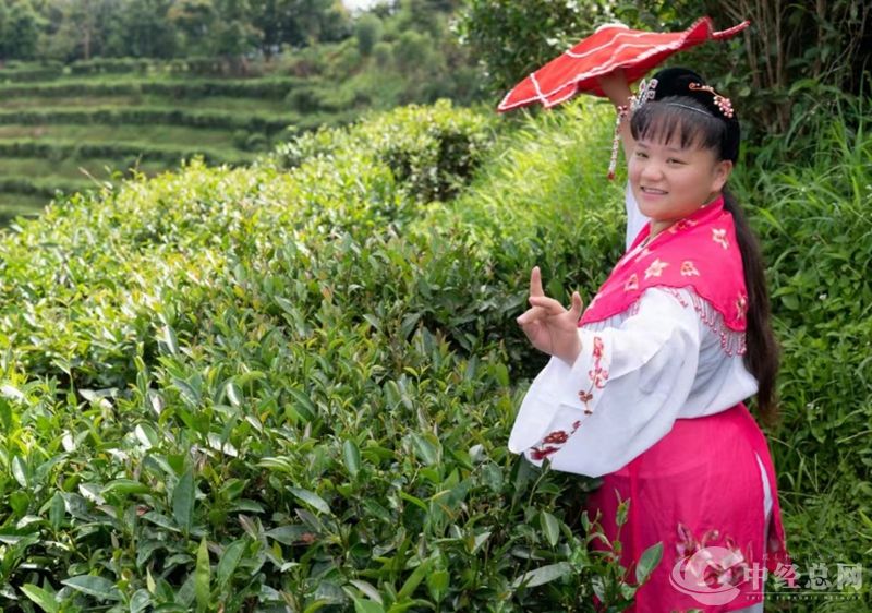 1720787070678569.jpg 微信图片_20240712200708_副本.jpg