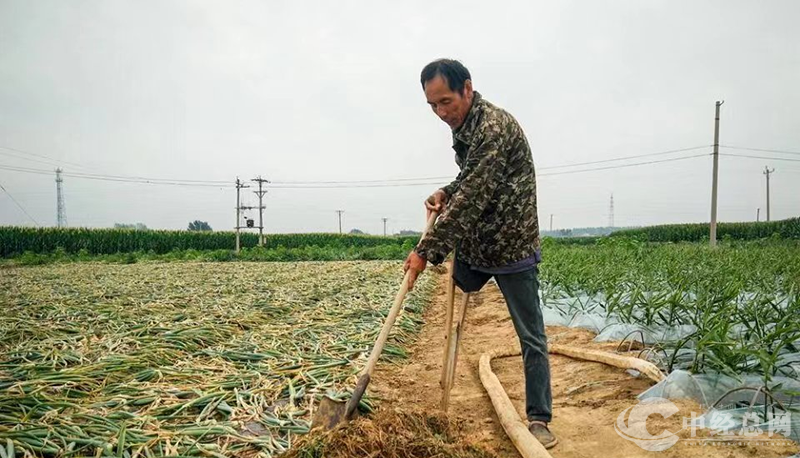 1721270610573934.png 图片4.png