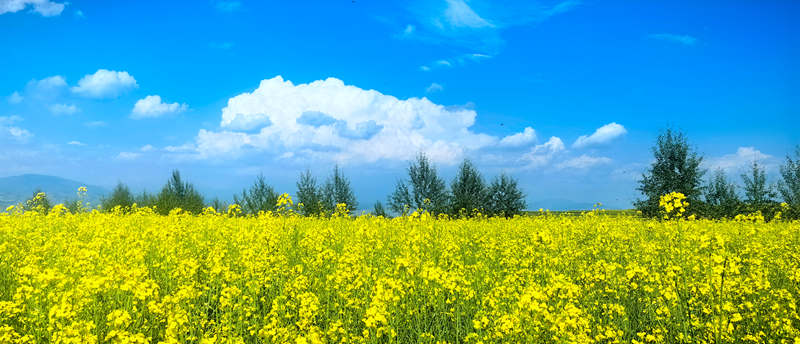 1722007624940726.jpg 25ac2d4e60df42fc82f8bcd4d26f37c.jpg