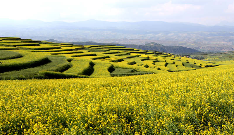 1722009290896291.jpg e8f528bab79024573ae39858ea7ed44.jpg