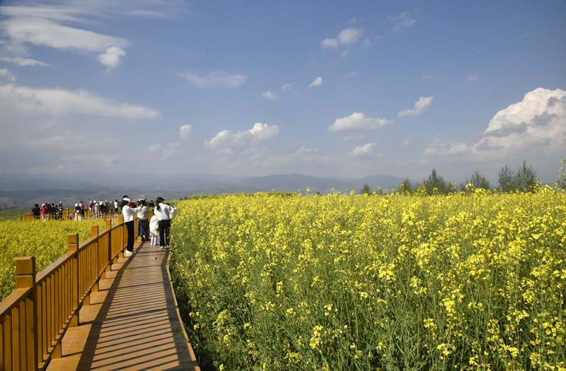 1722009368301620.jpg _DSC3624.JPG