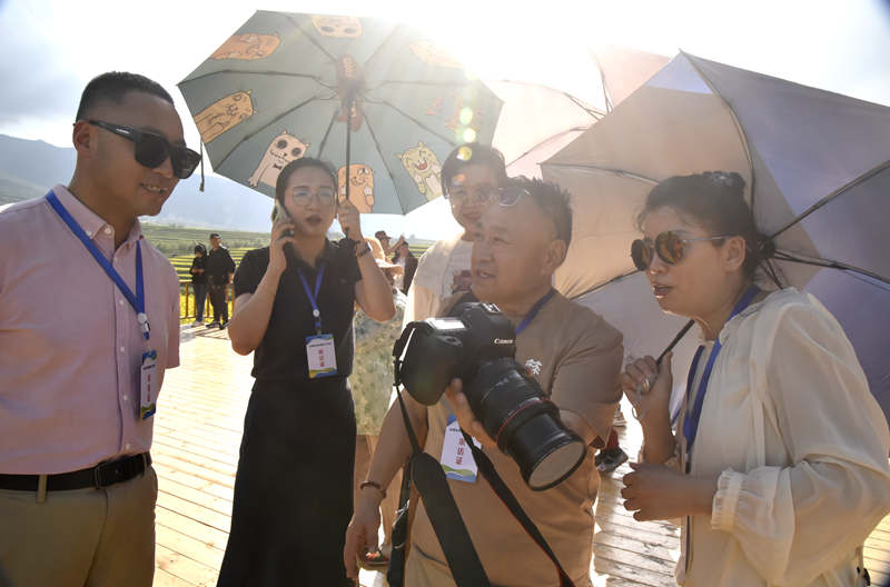 1722009574954815.jpg _DSC3674.JPG