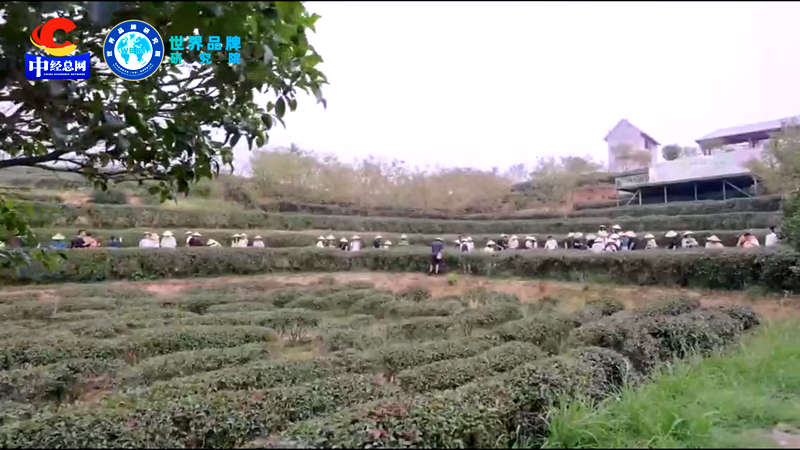 1723475585832480.jpg 5_副本.jpg