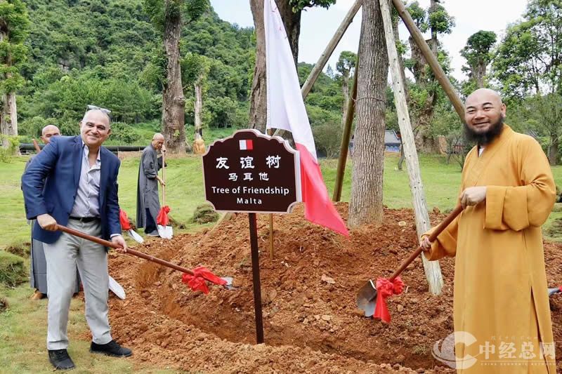 1723550869325382.jpg 25.jpg