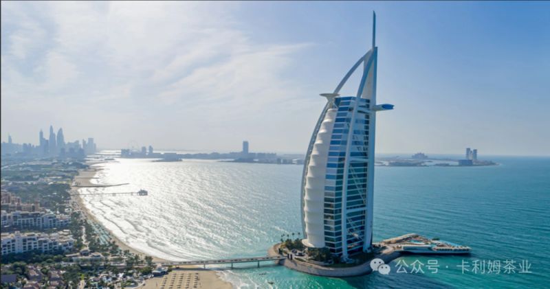 1725073776642644.jpg 剪贴板02.jpg