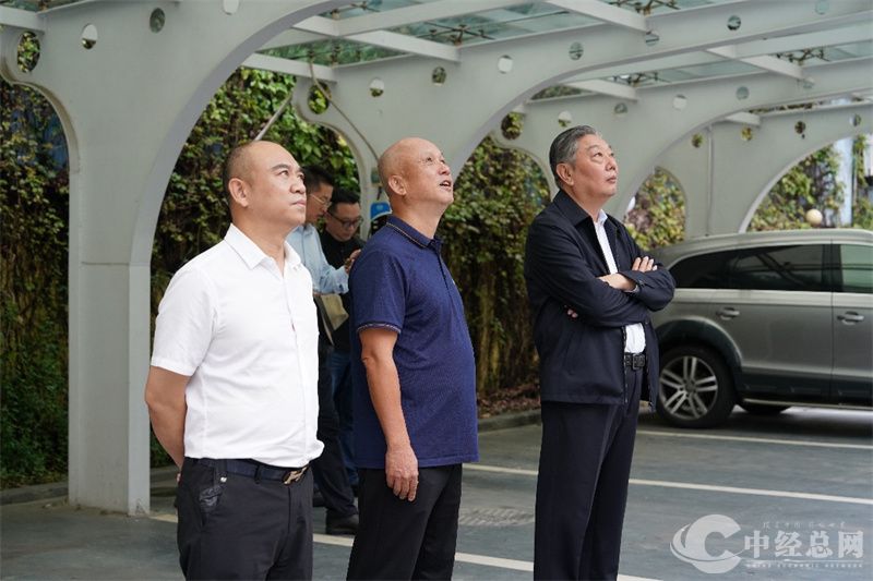 1727096504953604.jpg 7.jpg