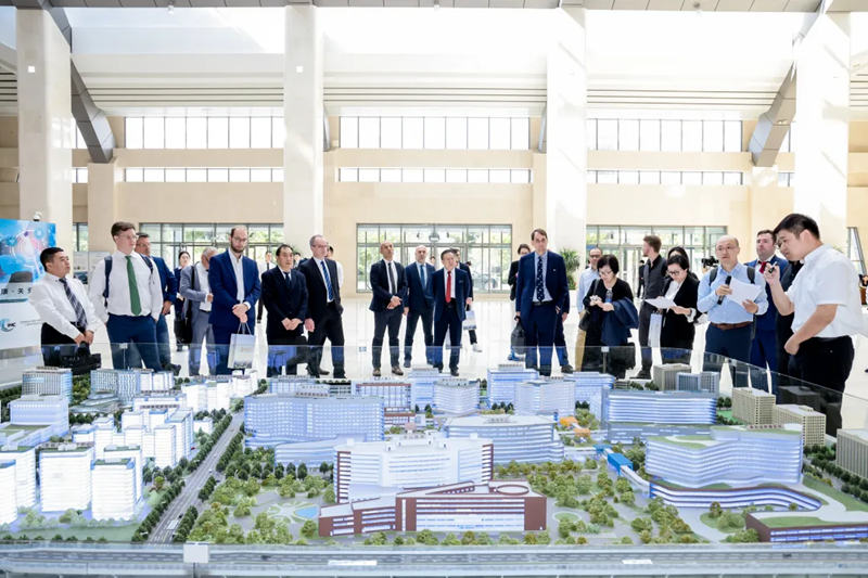 1727164066557551.jpg 2_副本.jpg