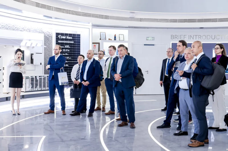 1727164075146714.jpg 3_副本.jpg