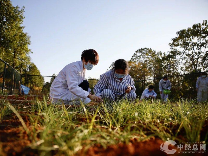 1727437692191005.png 4684A588-999E-4925-B045-603AABE4DA7F.png