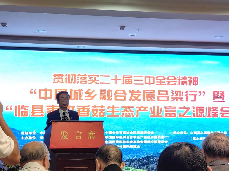 1728178955622481.jpg 2.jpg