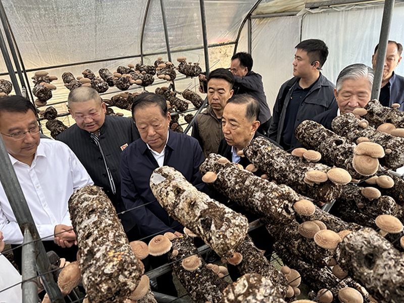 1728178976712208.jpg 4.jpg