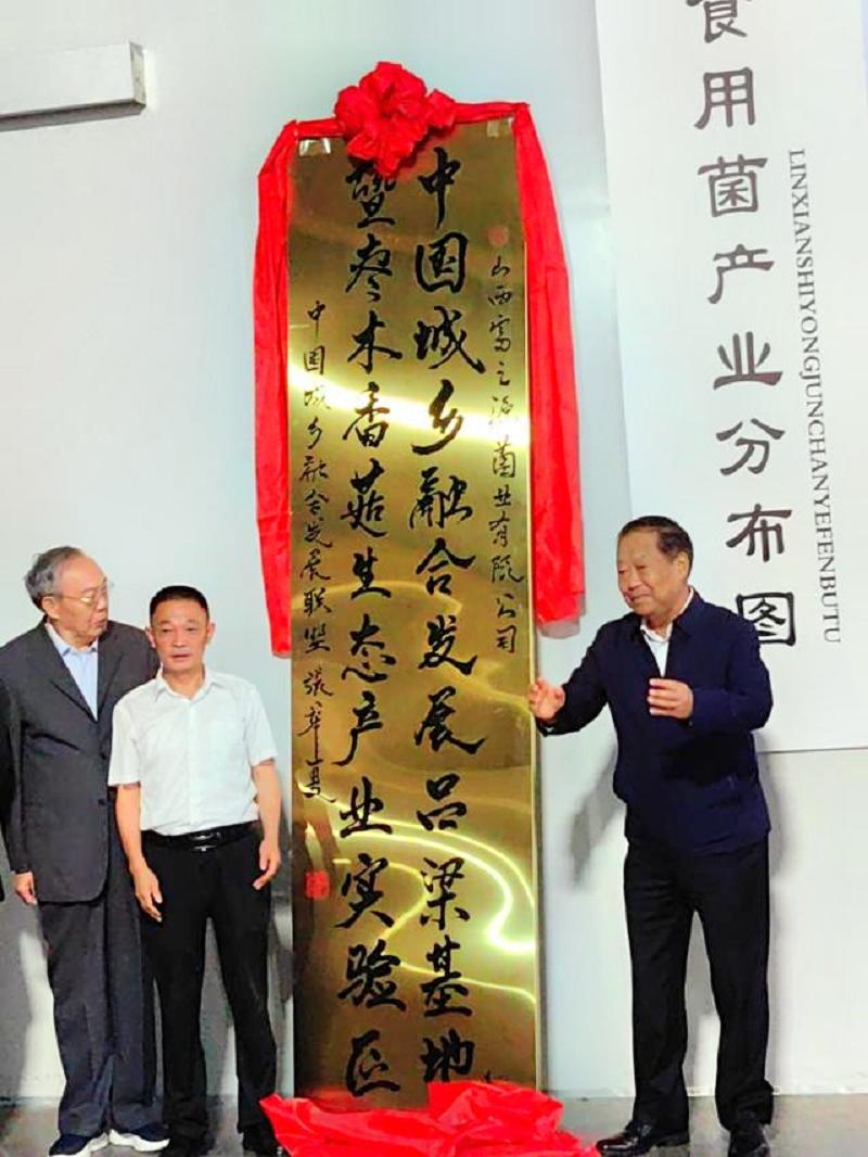 1728178989133720.jpg 5.jpg