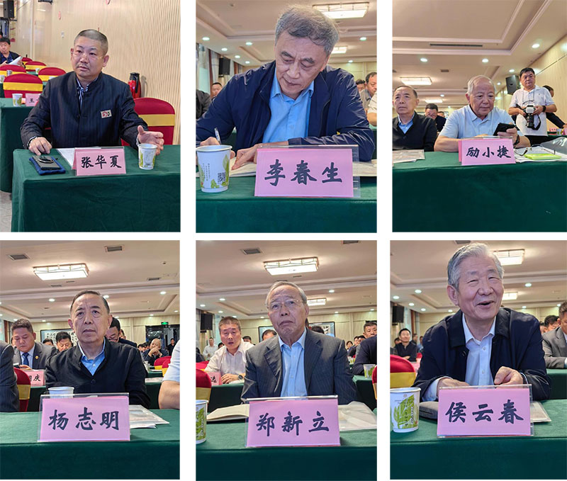 1728179030765295.jpg 9.jpg