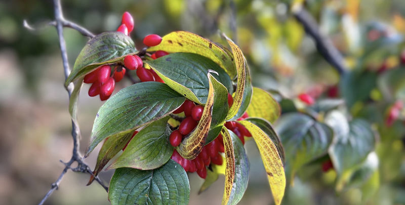 1728647463782877.jpg 图片3.jpg