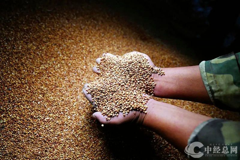 1728648084199573.jpg 图片6.jpg