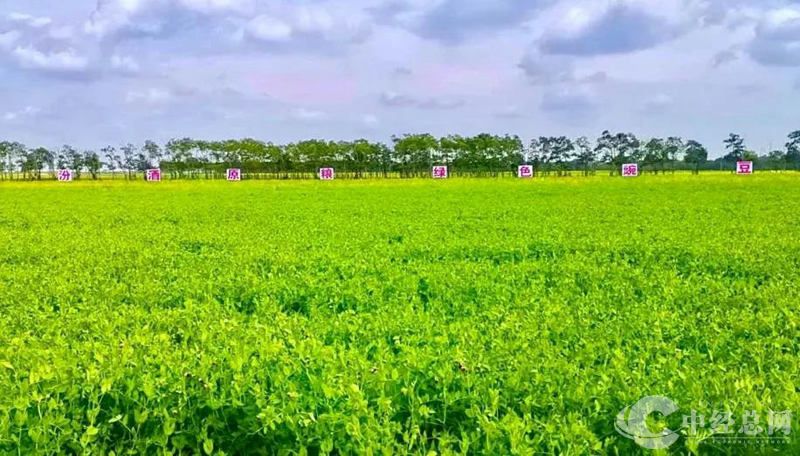 1728648106417044.jpg 图片7.jpg