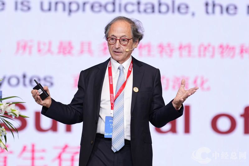 1728985322251300.jpg 7.jpg