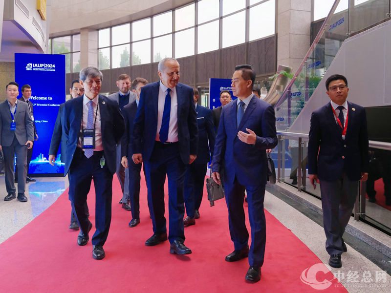 1728985340401968.jpg 1.jpg