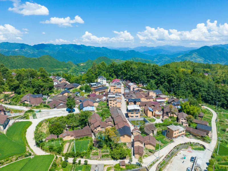 1729306478381945.jpg 1_副本.jpg