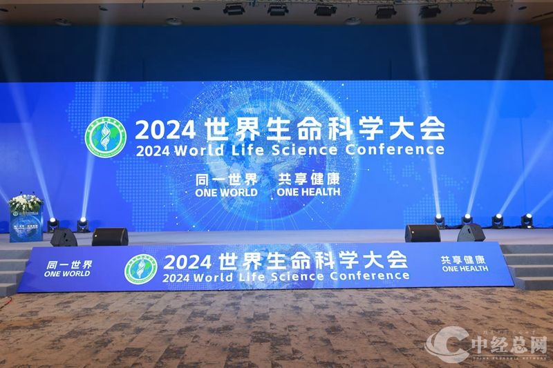 1729323964552161.jpg 03_副本.jpg