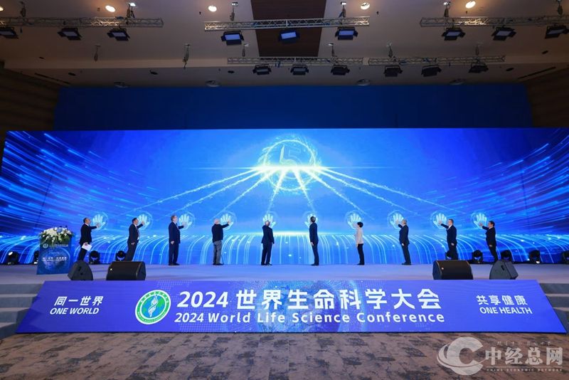 1729323990315707.jpg 04_副本.jpg