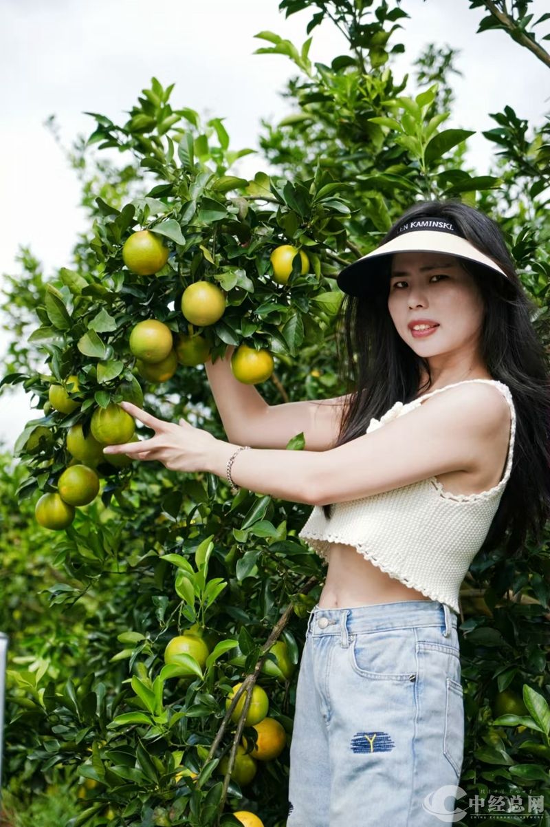 1729342205367001.jpg 07_副本.jpg