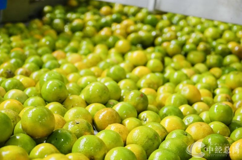 1729342219392818.jpg 08_副本.jpg