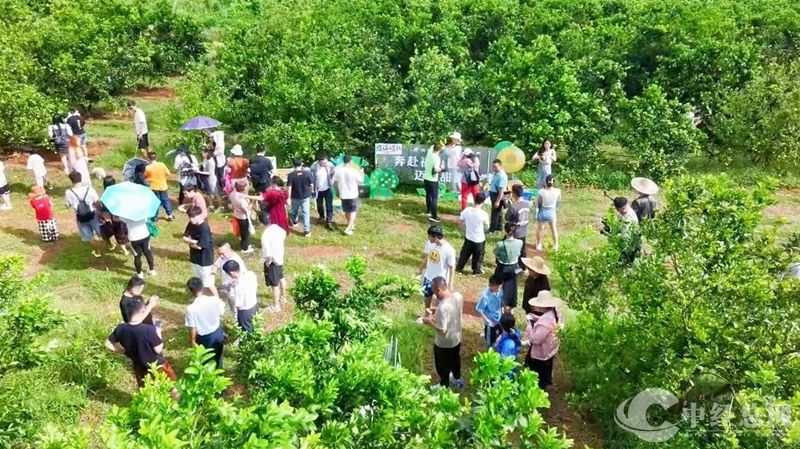 1729342238219680.jpg 09_副本.jpg